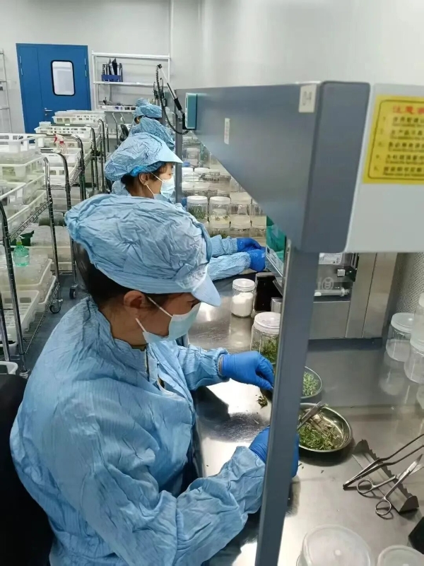 黃河三角洲農(nóng)業(yè)高新技術(shù)產(chǎn)業(yè)示范區(qū)技術(shù)推廣的實(shí)踐與探索